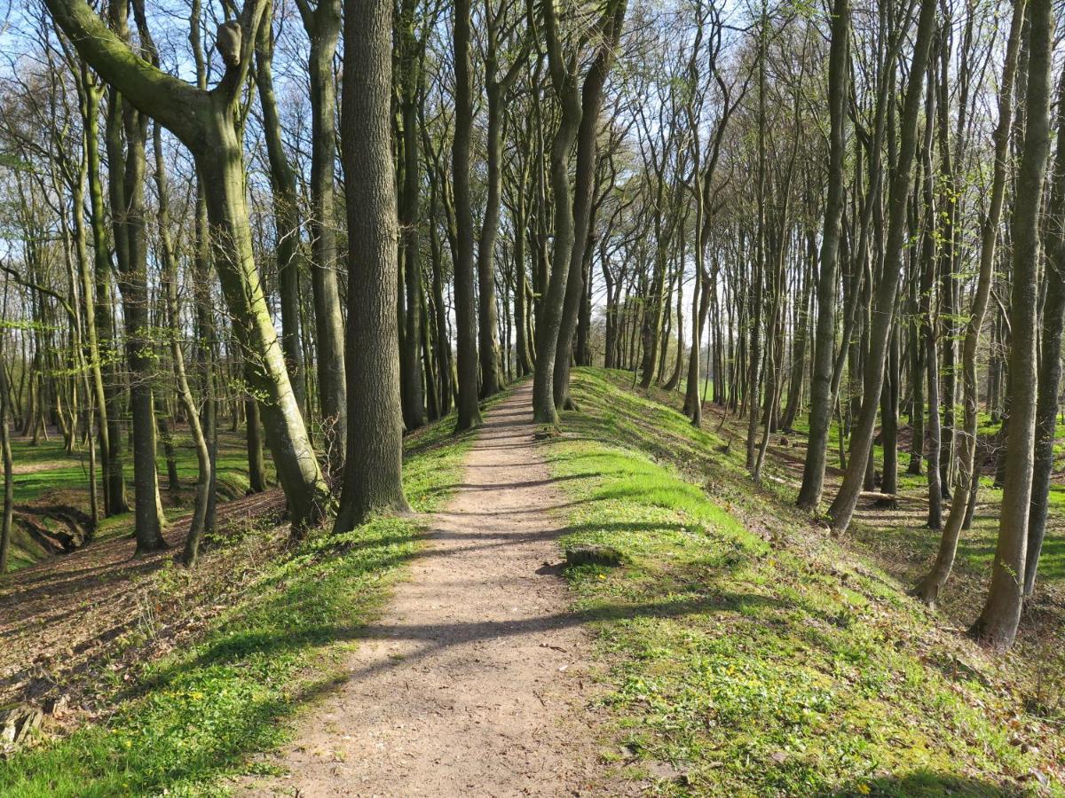 Ferienwohnungen Am Danewerk Dannewerk Bagian luar foto
